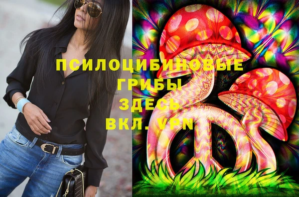 мдпв Новосибирск