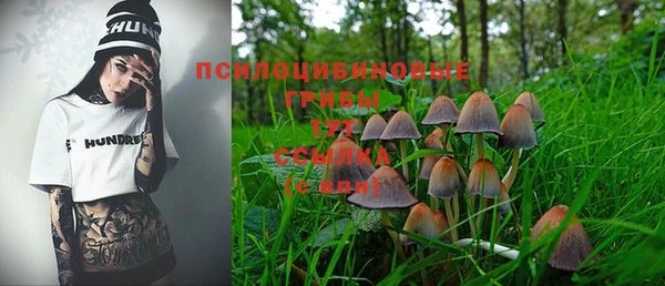 mdpv Санкт-Петербург