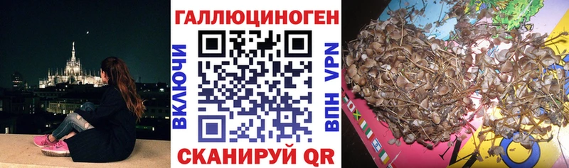 Купить  Арсеньев  Галлюциногенные грибы GOLDEN TEACHER 